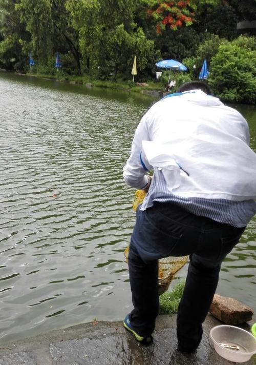 雨后钓鱼技巧（享受雨后的钓鱼乐趣）  第1张