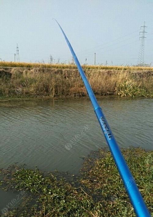 雨后钓鱼的技巧与经验（提高钓鱼效果的湿地钓法）  第1张