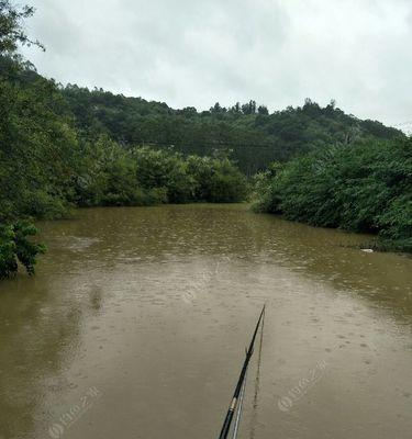 雨天钓鱼技巧（掌握雨护城河）  第1张