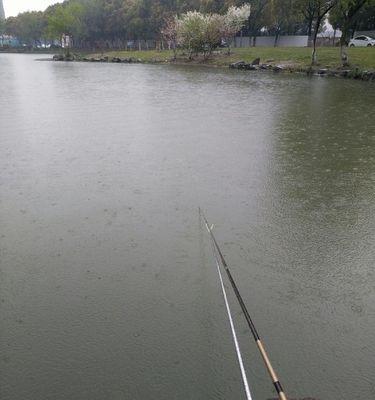 雨天池塘钓鱼方法与技巧（掌握雨天下钓鱼的窍门）  第1张