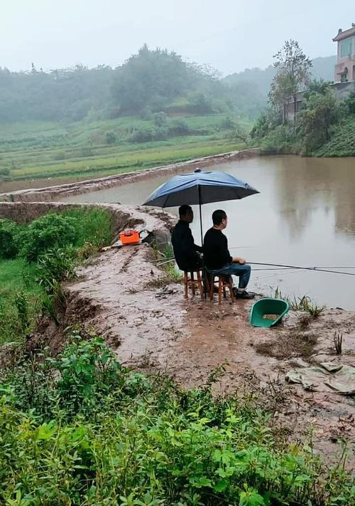 雨天钓鱼技巧与位置（挑选合适的地点与灵活运用钓鱼技巧）  第1张