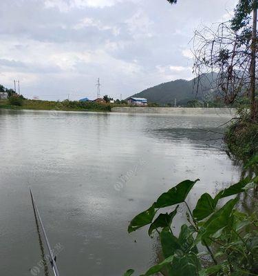 雨天河里野钓技巧（掌握这些技巧）  第1张