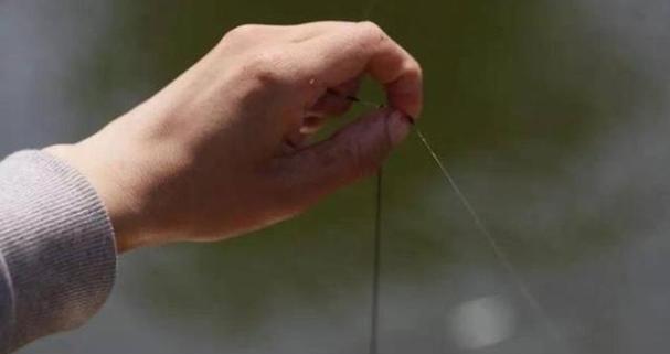 雨天野钓鲫鱼的方法和技巧（野钓鲫鱼的雨天捕获技巧）  第1张