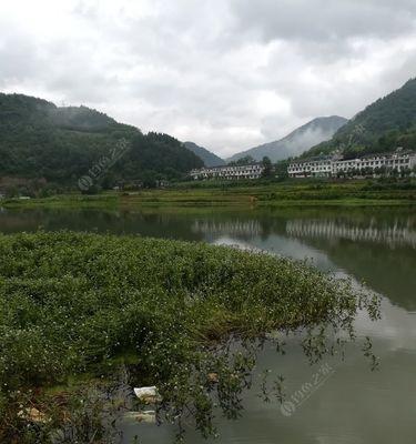 雨天野钓鱼的技巧（在雨天中钓鱼）  第1张