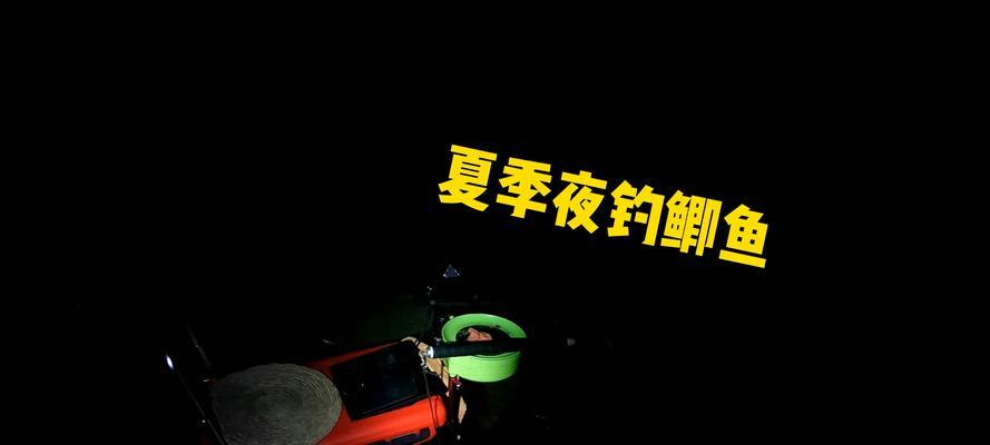 雨天夜钓鲫鱼的技巧与方法（探秘夜晚雨天下的钓鲫鱼之道）  第1张