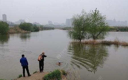 雨天钓鱼技巧（雨中钓鱼）  第1张