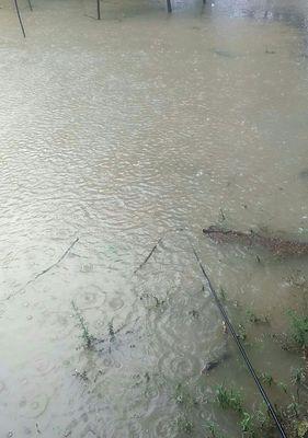 下雨天钓鱼的技巧（掌握降雨情况）  第1张