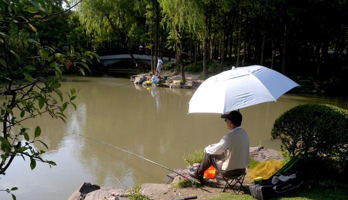 夏日钓鱼小技巧（掌握这些技巧）  第1张