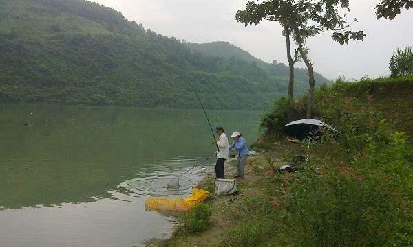 夏东海钓鱼技巧大全（掌握这些技巧）  第1张