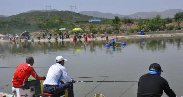 夏季高温下的钓鱼技巧（钓鱼技巧应对35度高温）  第1张