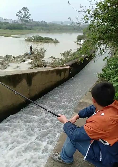 夏季暴雨中垂钓技巧（应对夏季暴雨中的垂钓挑战）  第1张