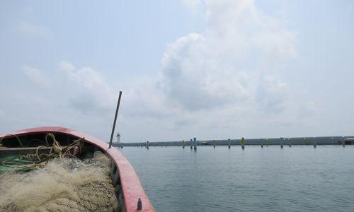 夏季出海钓鱼的注意事项和技巧（畅享夏日垂钓乐趣关注安全与技巧）  第1张