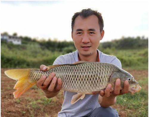 夏日钓鲤鱼的绝佳技巧（享受夏季钓鲤鱼的乐趣）  第1张