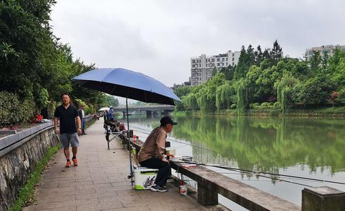 夏季钓鱼技巧之起竿好时机（抓住钓鱼高峰期）  第1张