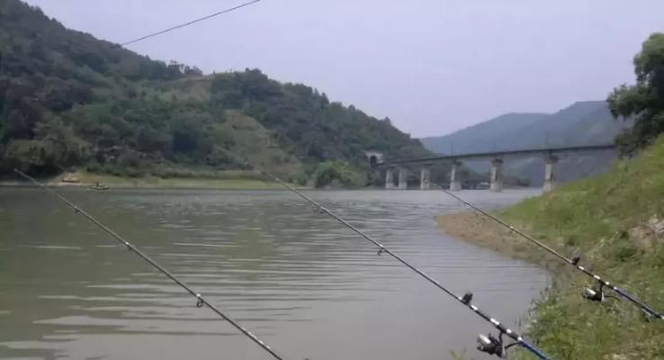 夏季钓鱼技巧经验分享（畅享夏日）  第1张