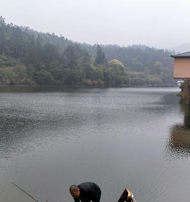 夏季大型水库钓鱼技巧（掌握技巧）  第1张