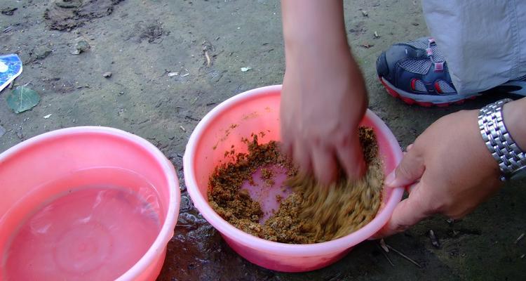 夏季钓鱼开饵技巧（提高夏季钓鱼效果的关键技巧）  第1张