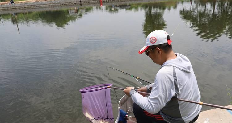 夏季钓鱼上钩技巧教学（夏季钓鱼实用技巧及装备选购指南）  第1张