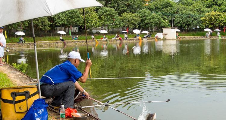 夏季钓鱼技巧揭秘（掌握关键技巧吸引鱼群轻松上钩）  第1张