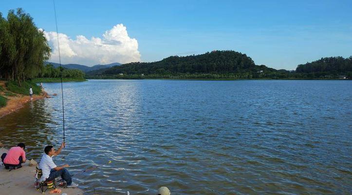 夏日钓鱼技巧大揭秘（挑战炎炎夏日）  第1张