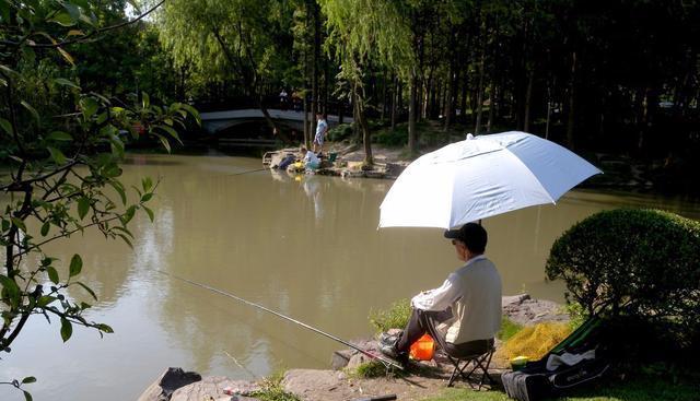 夏日钓鱼技巧—钓鲤鱼攻略（适合夏季的鲤鱼钓鱼技巧及经验分享）  第1张