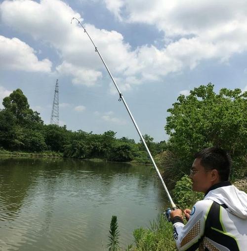 夏日刮风天钓鱼技巧（提高钓鱼成功率的秘诀）  第1张