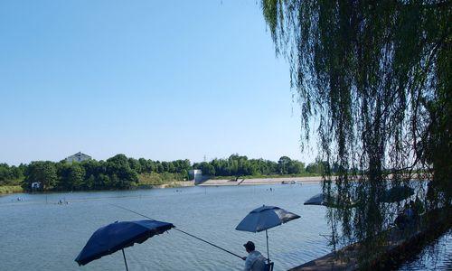 夏日垂钓，技巧大揭秘（享受河边垂钓的乐趣）  第1张