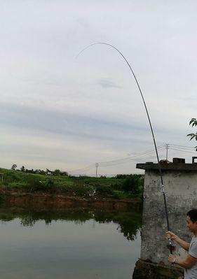 夏天黄金季钓鱼技巧（夏日畅钓的秘诀）  第1张