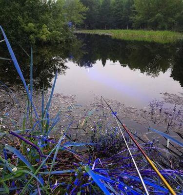 夏雨季节下的钓鱼技巧（梅雨季节中的钓鱼经验与技巧）  第1张