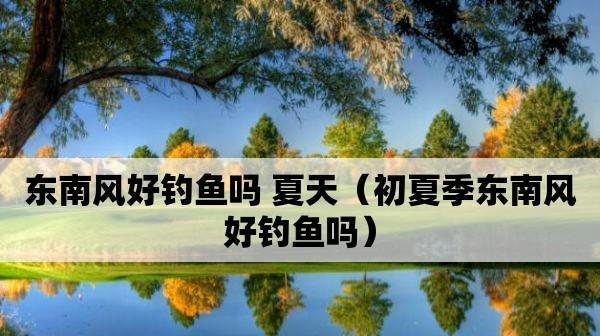 夏季气压低钓鱼技巧（如何应对夏季气压低）  第1张