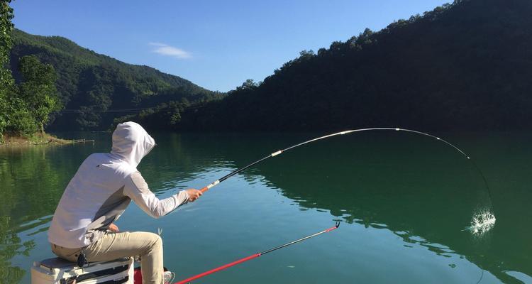 夏天气压钓鱼技巧（夏天气压钓鱼的关键技巧）  第1张