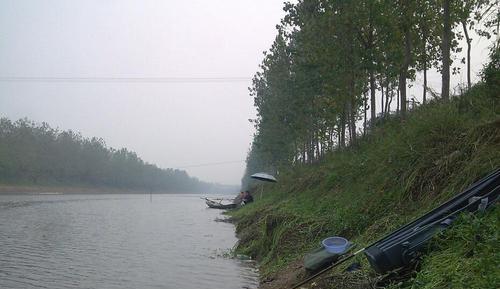 夏天水草钓鱼的技巧与方法（畅游在水草丛中）  第1张