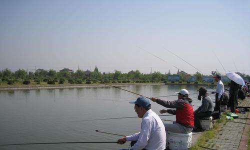 夏天水库钓鱼技巧大揭秘（选位、选饵和打窝）  第1张