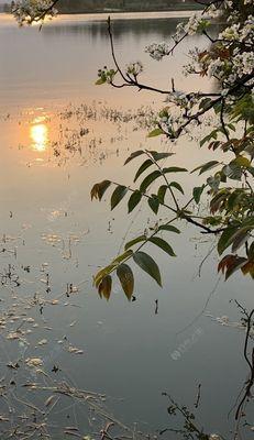 夏天退水钓鱼技巧（夏日钓鱼的绝佳时机）  第1张