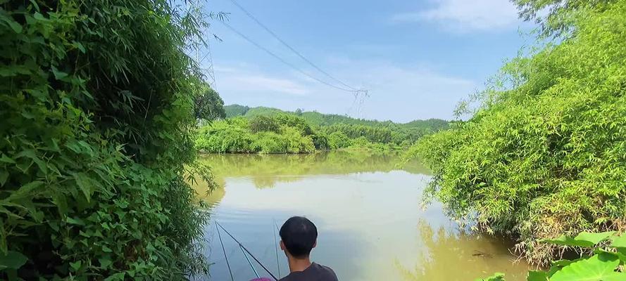 夏天下大雨钓鱼技巧（掌握技巧）  第1张