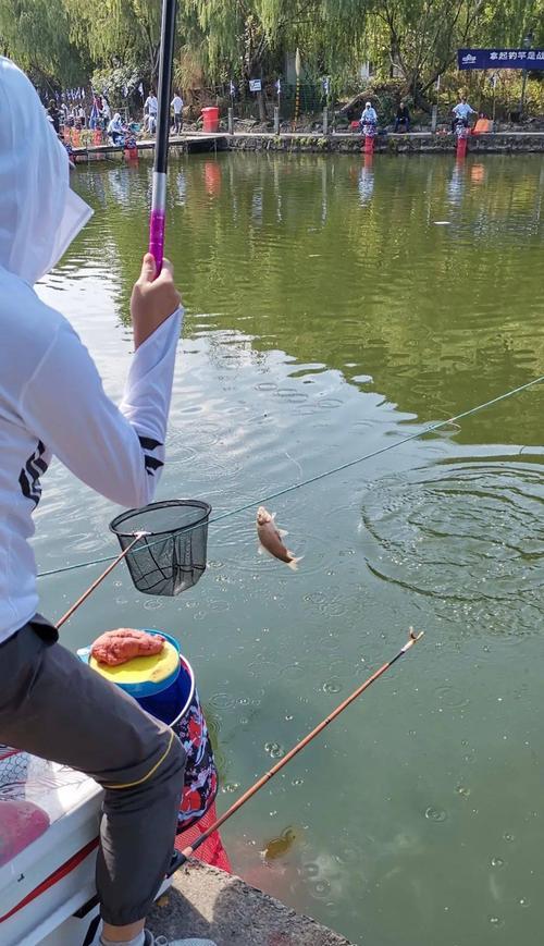 夏天下风口钓鱼的方法和技巧（享受夏日钓鱼乐趣）  第1张