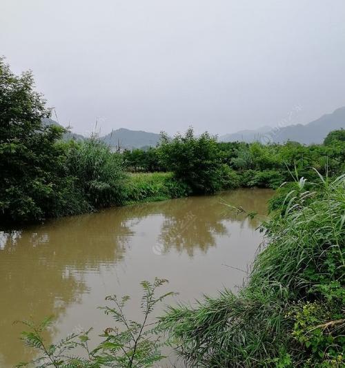 夏天下雨野钓技巧（怎样在夏天的雨天享受野钓乐趣）  第1张