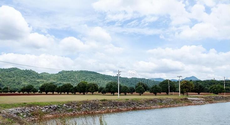 夏日雨天下桥钓鱼技巧（钓鱼好时光）  第1张