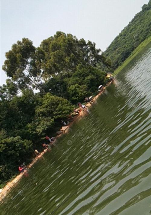 夏日下雨天钓鱼的三大技巧（享受夏雨中的钓鱼乐趣）  第1张