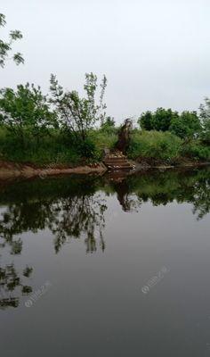 夏天下雨天钓鱼的三大技巧（不再被雨水困扰）  第1张