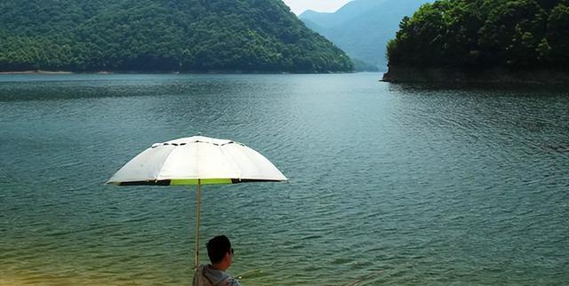 夏日小河道钓鱼技巧（钓鱼达人分享的夏日小河道钓鱼秘籍）  第1张