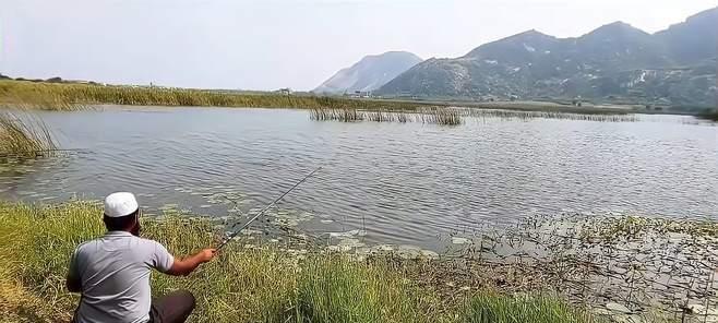 夏日野钓乐趣无限（夏天钓鱼技巧分享）  第1张