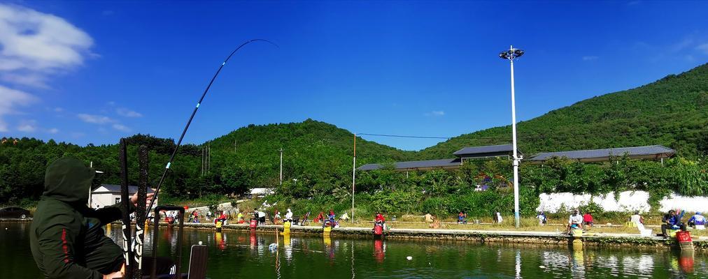 休闲手竿钓鱼技巧教学（轻松掌握钓鱼技巧）  第1张