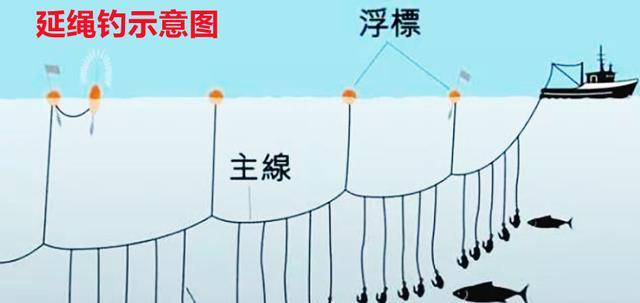 悬坠钓法钓鱼小技巧（掌握悬坠钓法）  第1张