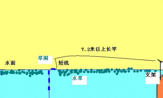 草洞钓鱼的技巧与经验（掌握技巧）  第1张