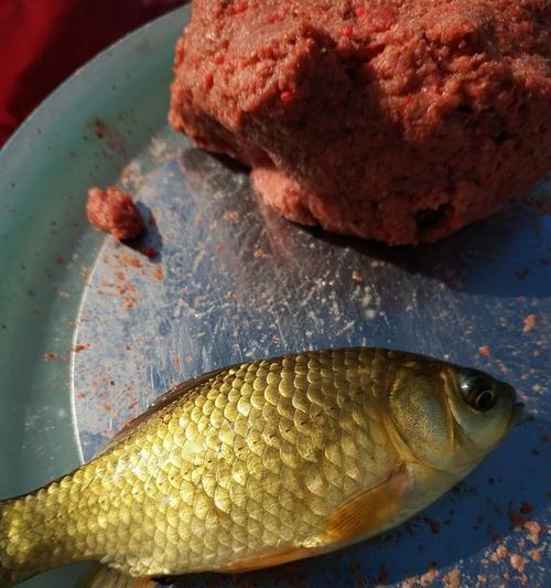 野钓鲫鲤鱼的小技巧（提高钓鲫鲤成功率的实用技巧）  第1张