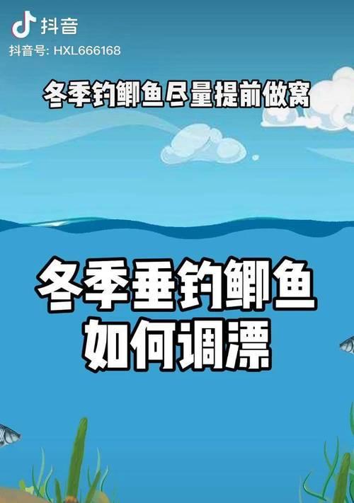 以野钓鲫鱼调漂的简单技巧（快速掌握调漂方法）  第1张