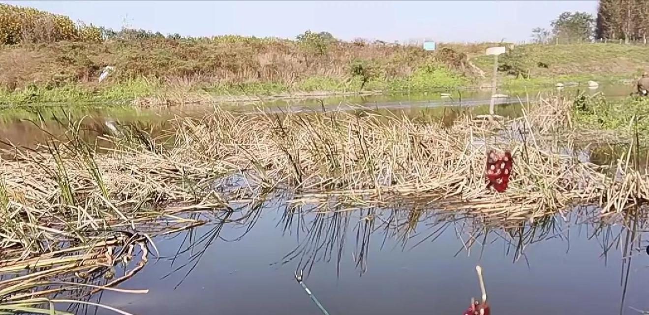 野钓鲫鱼技巧法（掌握窝口找寻的诀窍）  第1张