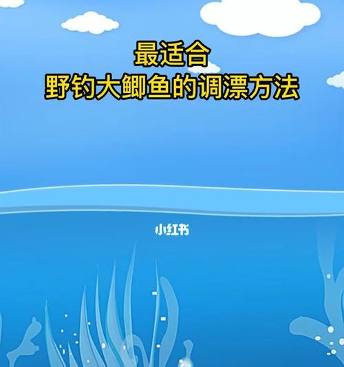 野钓空心颗粒的调漂方法与技巧（掌握钓鱼技巧）  第1张