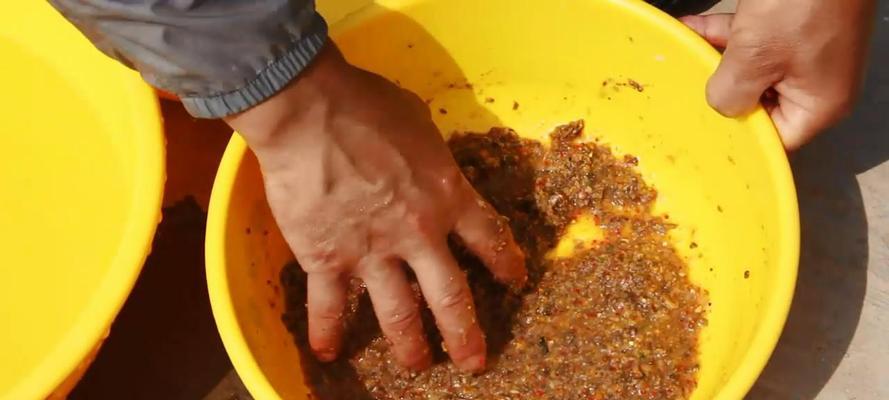 野钓拉饵技巧教学（掌握野钓拉饵的技巧）  第1张